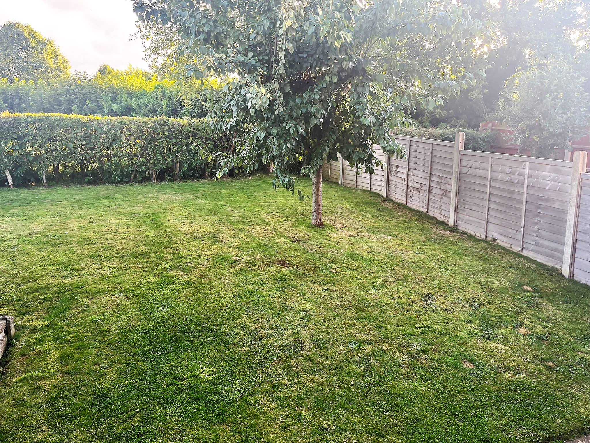 5 Dairy Court, Ravensthorpe - back garden