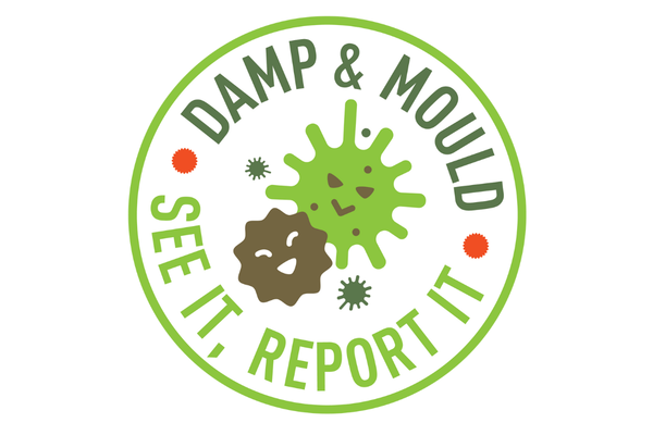 See It Report It Damp (2)