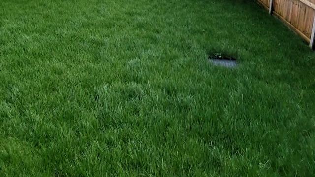 6 Howards Way Back Garden